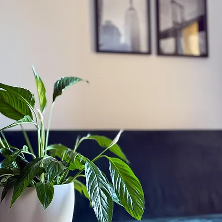 Legnicka 36 شقة *